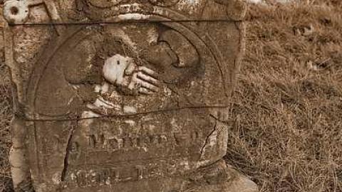 Should Have Had A Life SoBrief - Rosemont-Pioneer-Cemetery4.jpg