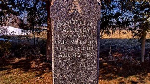 Should Have Had A Life SoBrief - Rosemont-Pioneer-Cemetery6.jpg