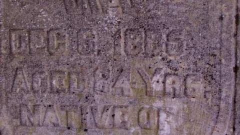 Should Have Had A Life SoBrief - Rosemont-Pioneer-Cemetery7.jpg