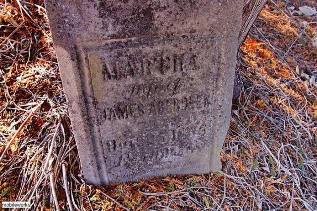 Rosemont Pioneer Cemetery photo 5