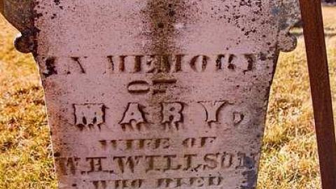 Should Have Had A Life SoBrief - Rosemont-Pioneer-Cemetery10.jpg