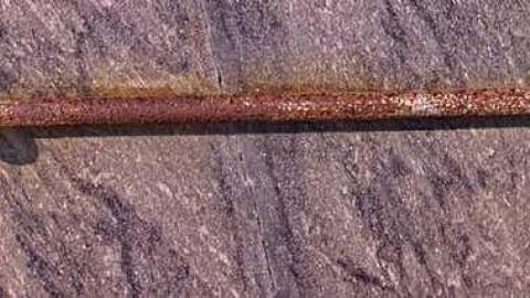 Should Have Had A Life SoBrief - Rosemont-Pioneer-Cemetery31.jpg