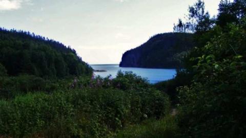 Coldwell remains - Port-Coldwell-(ghost-town)12.jpg