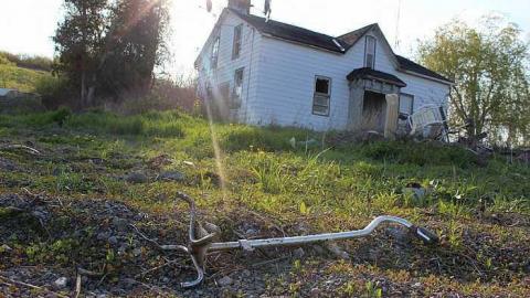 Photo from Green Road