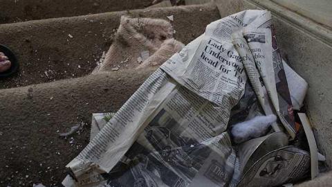 Green Road - ihgroIMG_1026.jpg