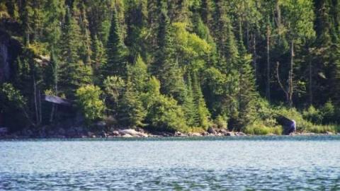 Coldwell remains - Port-Coldwell-(ghost-town)7.jpg