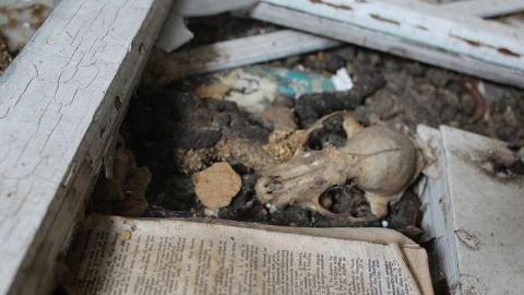 Forgotten - IMG_0550.jpg