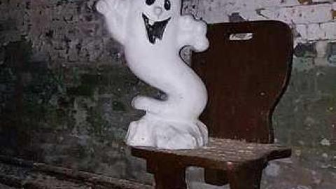 March 2018 - S-and-L-Plant39.jpg