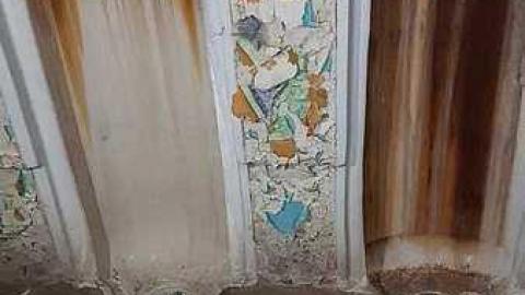 March 2018 - S-and-L-Plant40.jpg