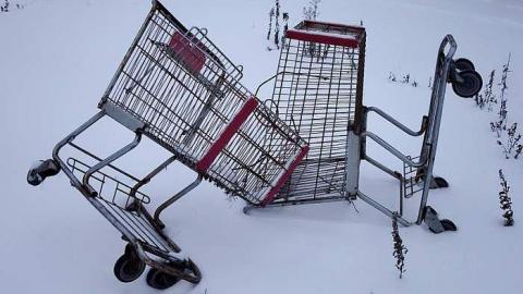 Phat & Patio '17 - DSC01090.jpg