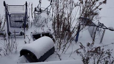 Phat & Patio '17 - DSC01093.jpg