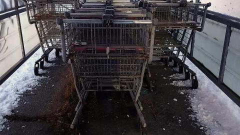 Phat & Patio '17 - DSC01108.jpg