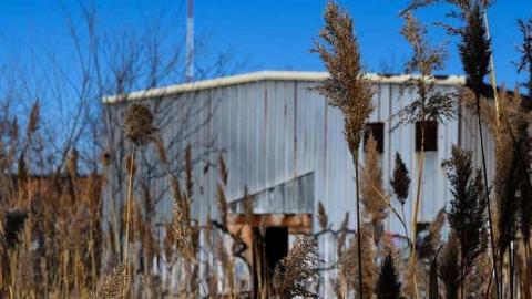 Big Hess - DSC_0112.jpg