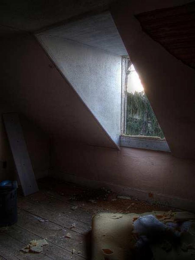 Window of Opportunity photo 5