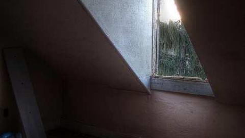 Window of Opportunity photo 5