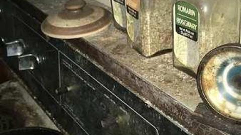 March 2018 - IMG_1303.jpg