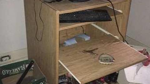 March 2018 - IMG_1311.jpg