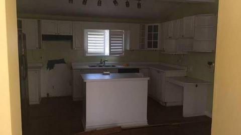 Fungus And Monkeys photo 2