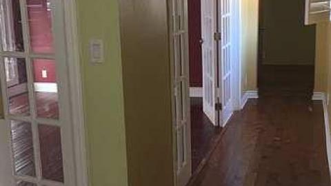 Fungus And Monkeys photo 3