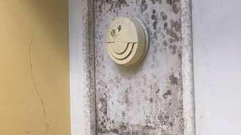 March 2018 - IMG_1207.jpg