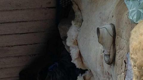 Cedar House - Across-The-River327.jpg