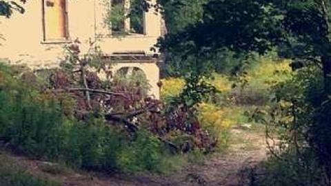 Cedar House - Across-The-River332.jpg