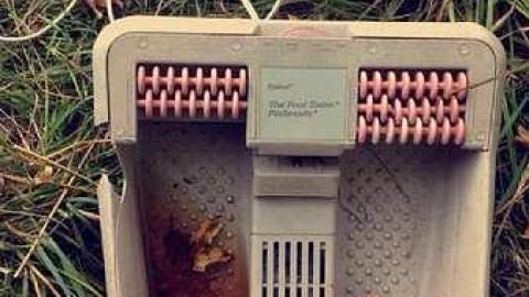 Photo from Cedar House