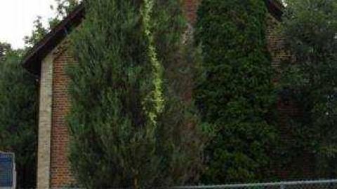 Gallery - The-Scotch-Settlement-181946.jpg