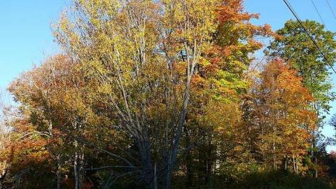 Falkenburg - Falkenburg-GhostTown-Galleries55.jpg