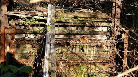 Falkenburg - Falkenburg-GhostTown-Galleries112.jpg