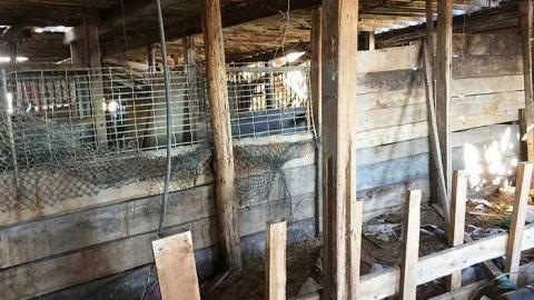 March 2018 Visit - 403-Barn24.jpg