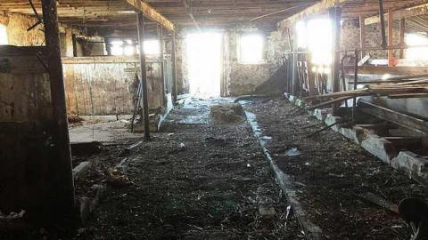 March 2018 Visit - 403-Barn25.jpg