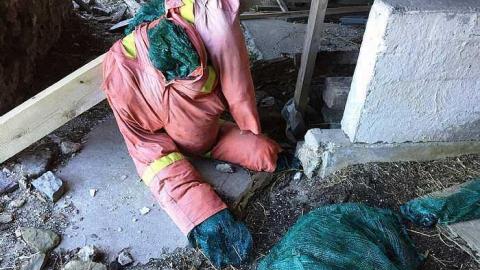 March 2018 Visit - 403-Barn7.jpg