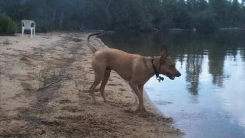 North Lake Railway - North-Lake-Station-(Replica)14.jpg