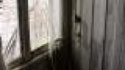 mystery house - C6104035-C8FB-4F47-8BAB-C8F1A5FF48F3.jpeg