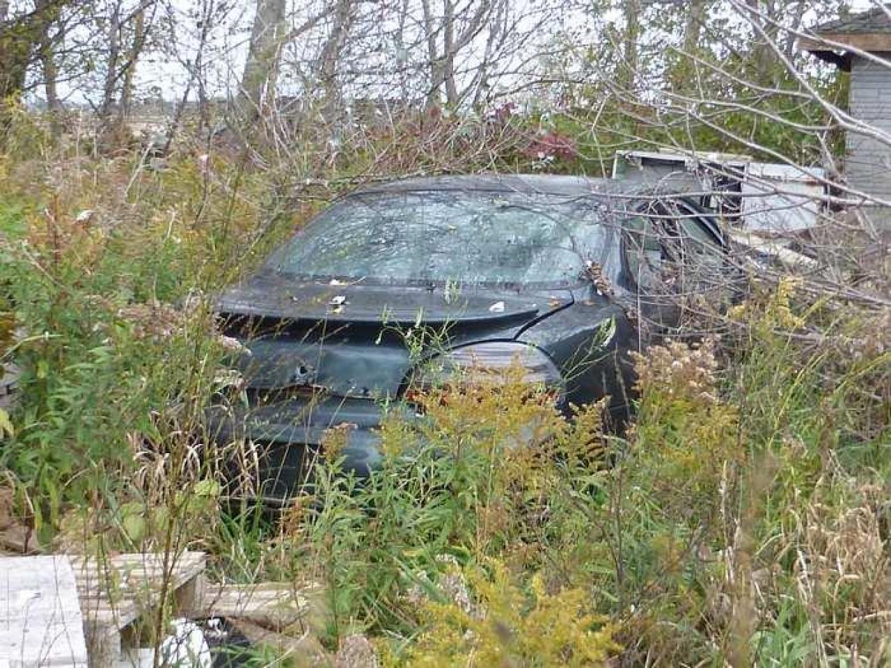 Huron House - P1120325.jpg