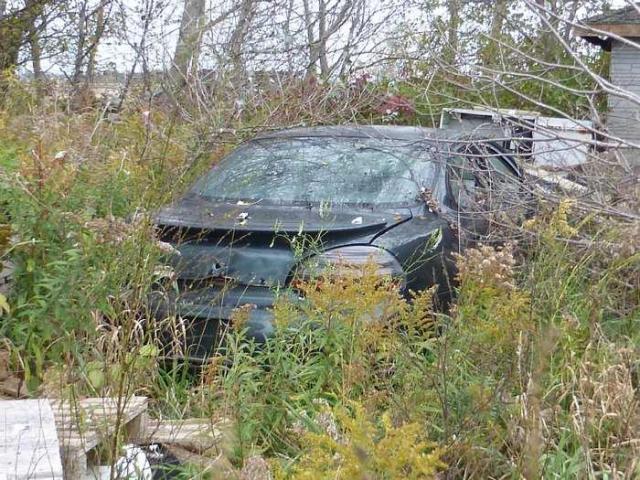 Huron House - P1120325.jpg