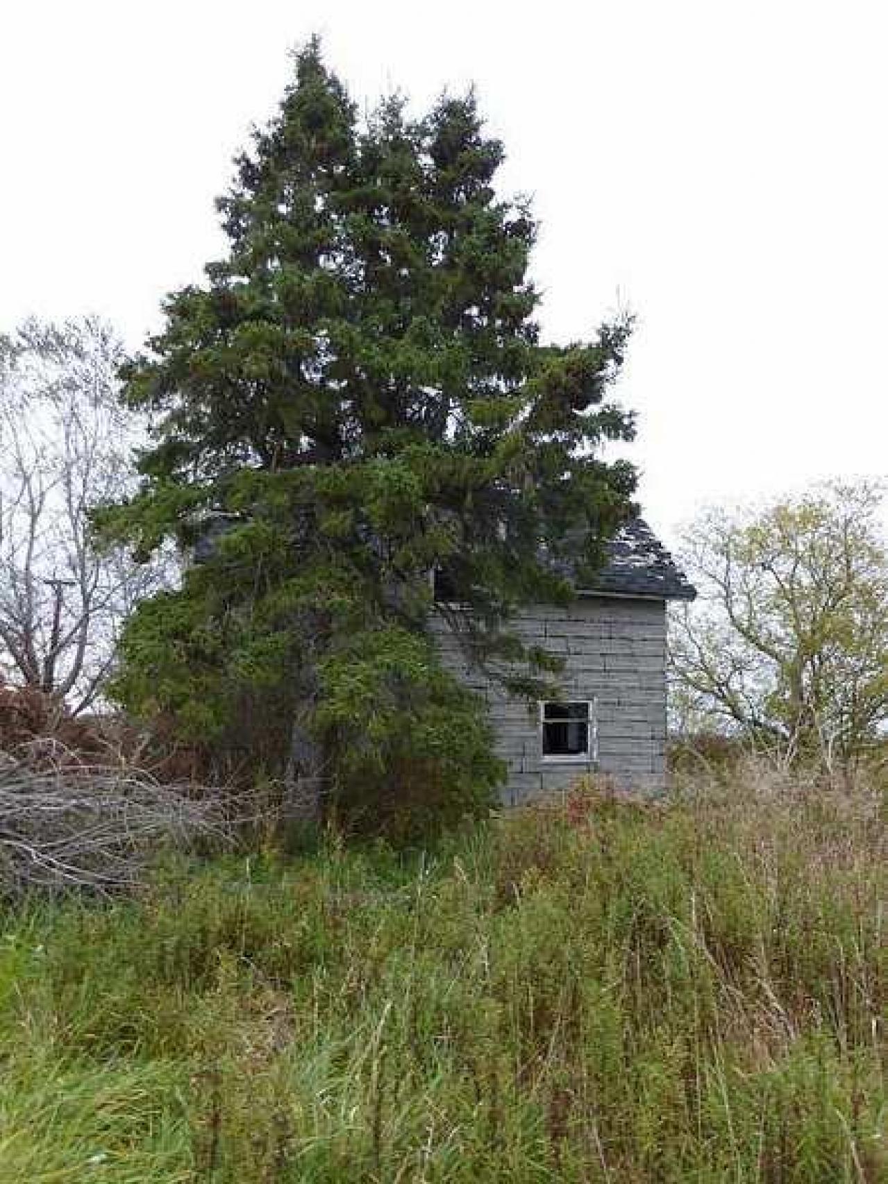 Huron House - P1120326.jpg