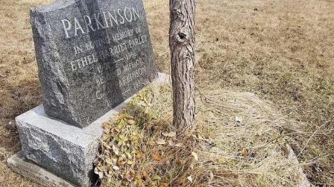 Parkinson Pioneers - Parkinson-Pioneer-Cemetery23.jpg