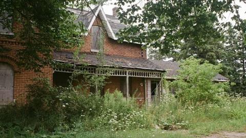 Summer 2017 - 000068570009.jpg