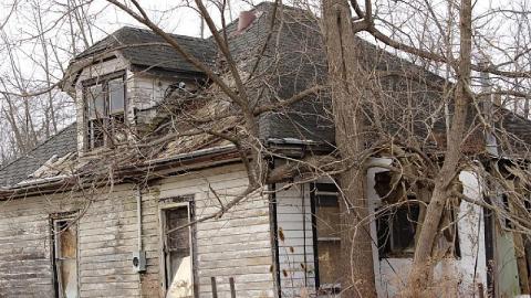 Photo from Little Friend in the Window