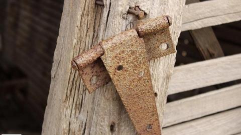 Farm Remains - Thorold-Playboy-Mansion13.jpeg