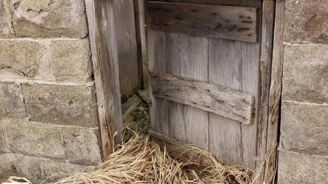 Farm Remains - Thorold-Playboy-Mansion14.jpeg