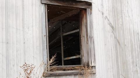 Farm Remains - Thorold-Playboy-Mansion16.jpeg