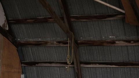 Farm Remains - Thorold-Playboy-Mansion19.jpeg