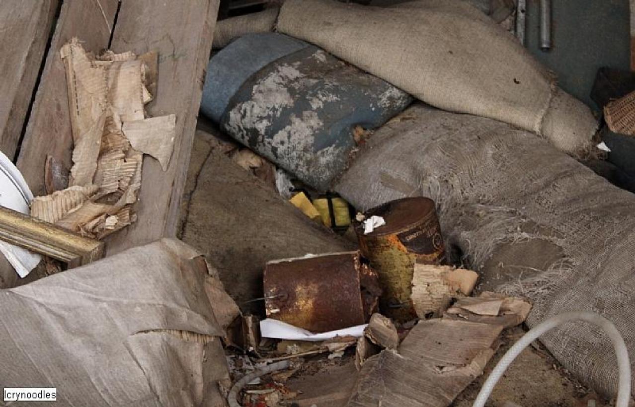 Farm Remains - Thorold-Playboy-Mansion8.jpeg