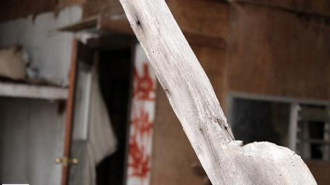 Farm Remains - Thorold-Playboy-Mansion9.jpeg