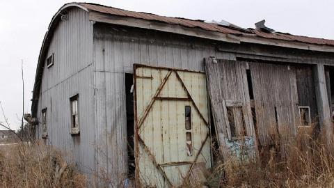 Farm Remains - Thorold-Playboy-Mansion10.jpeg