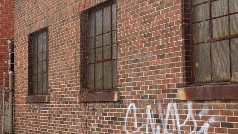 Outside Looking in - EFD4F575-9B78-42F5-86E5-502A938151C7.jpeg