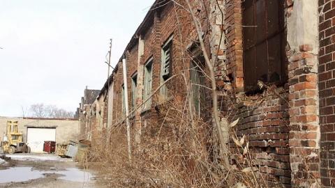 Outside Looking in - 7AFA0215-1C4B-4F1A-883D-AA3BE61C944F.jpeg